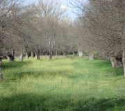 comprar casa rural madrid