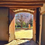 comprar fina rustica