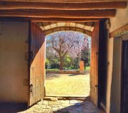 comprar fina rustica